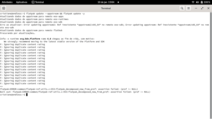 Captura de tela de 2026-01-10 15-04-13